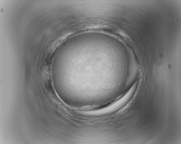 X0000055511353200508262130