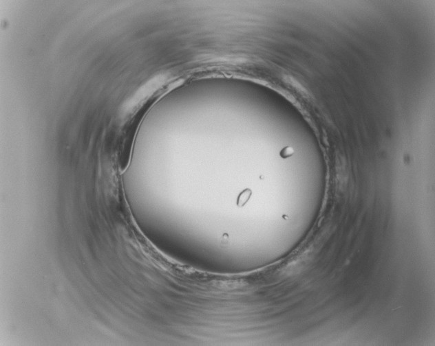 X0000055511354200508262130