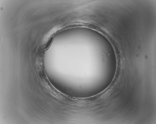 X0000055511355200508262130