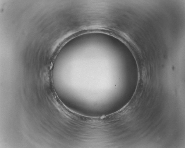 X0000055511356200508262130