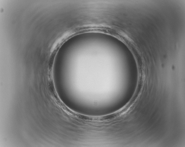 X0000055511357200508262130