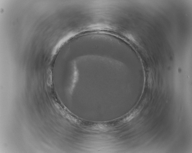 X0000055511358200508262130