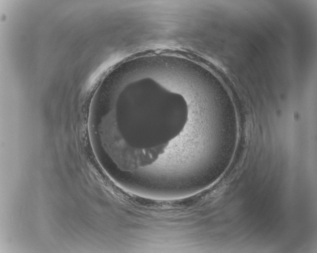 X0000055511359200508262130