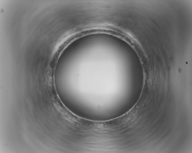 X0000055511360200508262129