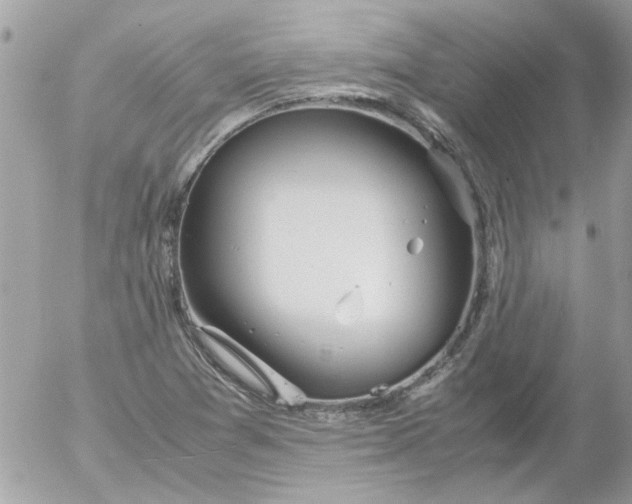 X0000055511361200508262129