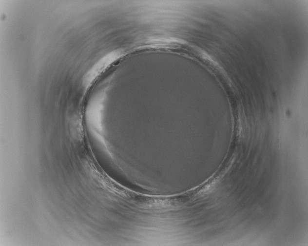 X0000055511362200508262129