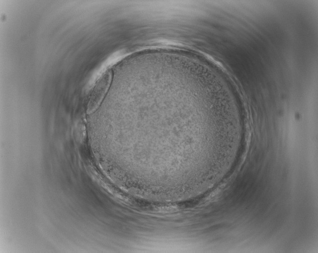 X0000055511363200508262129