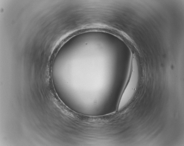 X0000055511364200508262129