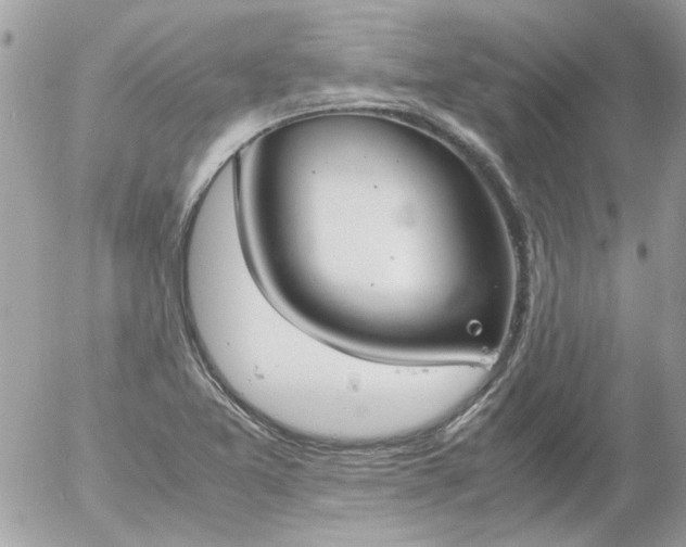 X0000055511365200508262129