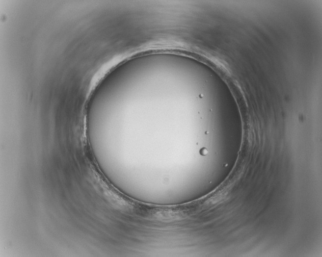 X0000055511366200508262129