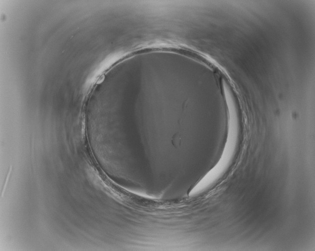 X0000055511367200508262129