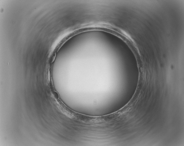 X0000055511368200508262129