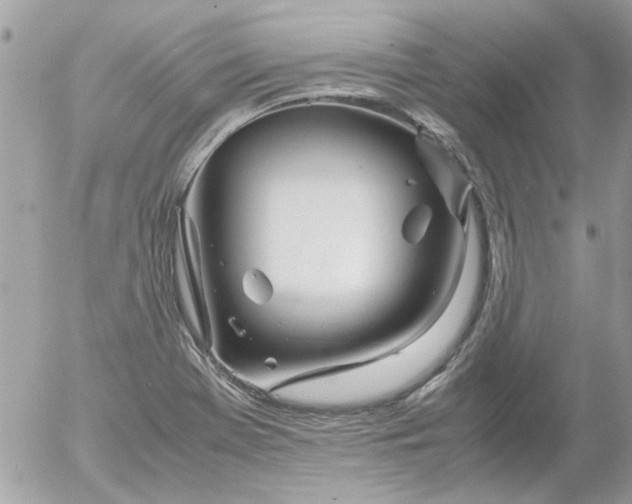 X0000055511369200508262129