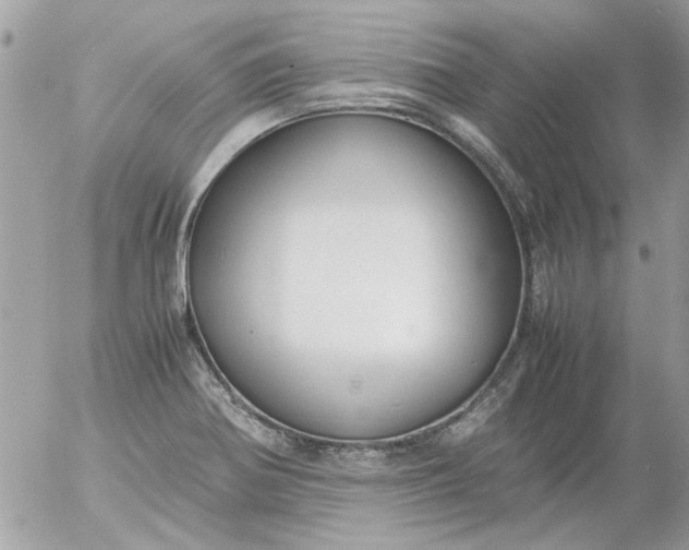 X0000055511370200508262129