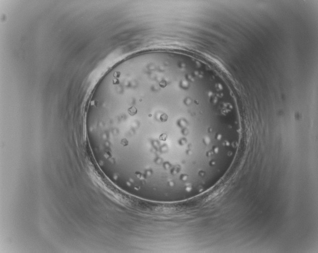 X0000055511371200508262129