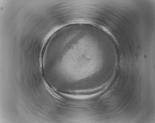 X0000055511372200508262129