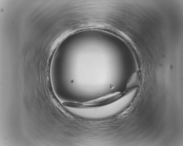 X0000055511373200508262129