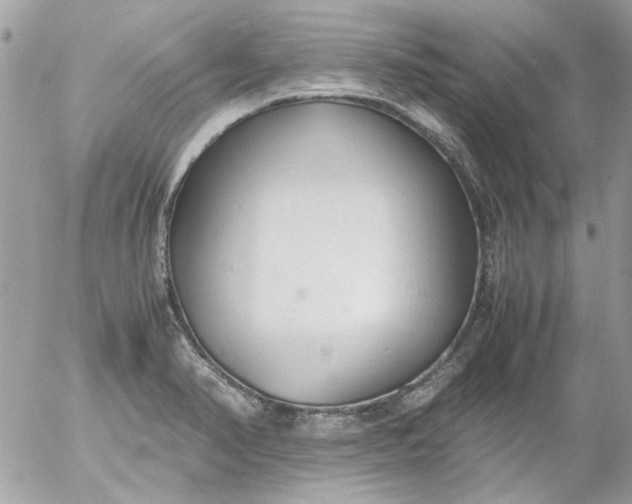 X0000055511374200508262129