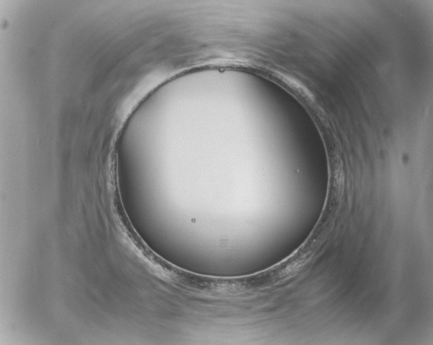 X0000055511375200508262129