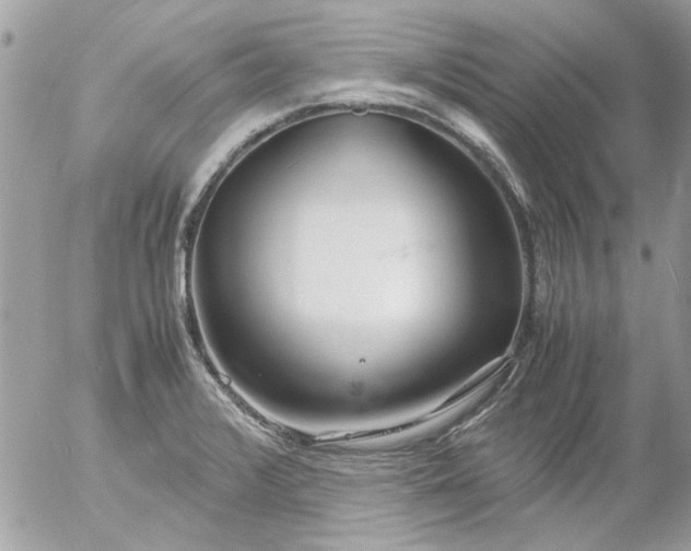 X0000055511376200508262129