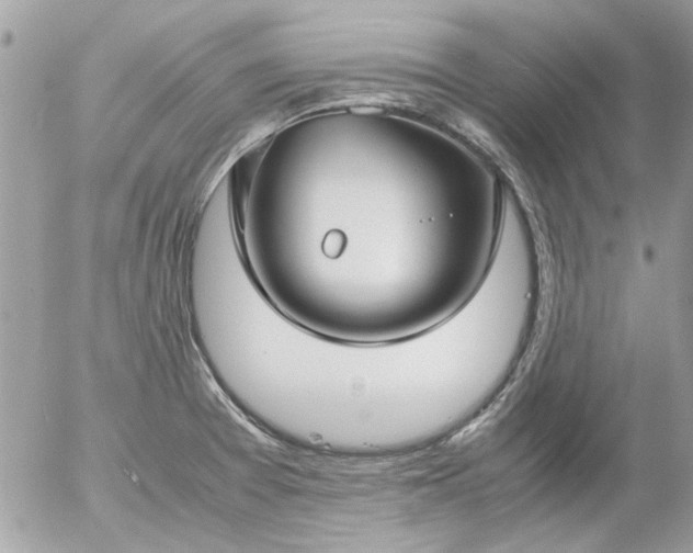 X0000055511377200508262129