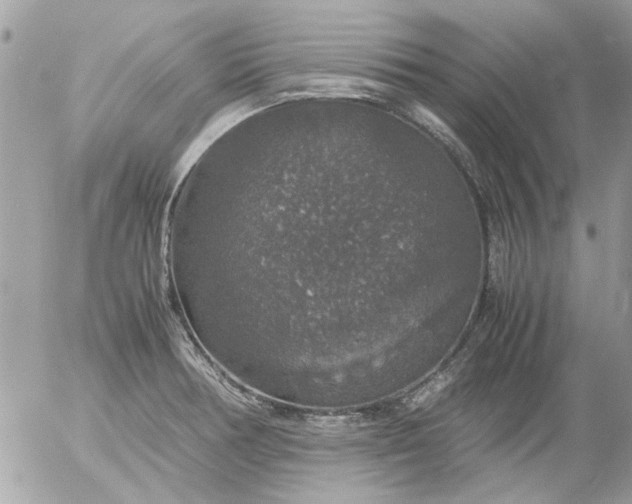 X0000055511378200508262129