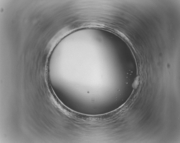 X0000055511379200508262129