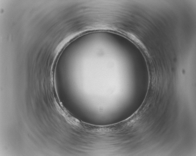 X0000055511380200508262129