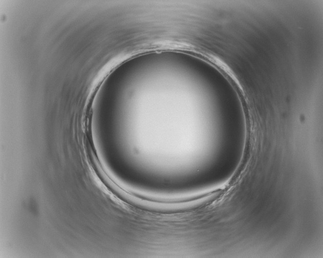 X0000055511381200508262129