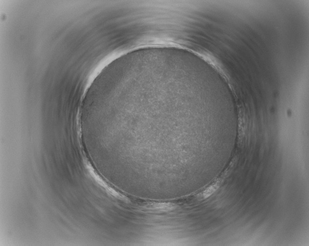 X0000055511382200508262129