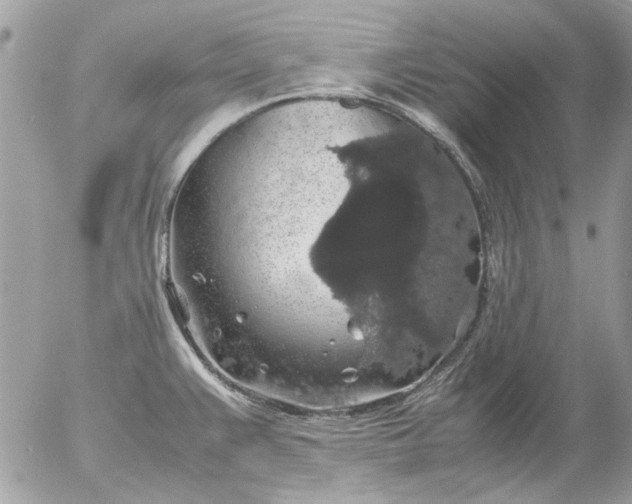 X0000055511383200508262129