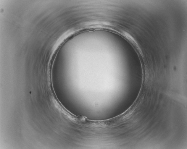 X0000055511384200508262129