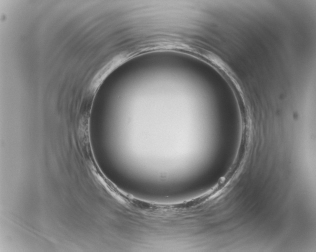 X0000055511385200508262129