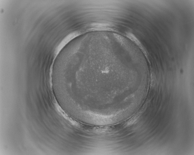 X0000055511386200508262129