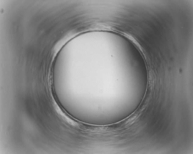 X0000055511387200508262129