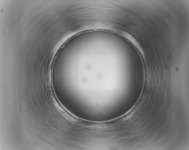 X0000055511388200508262129