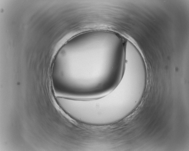 X0000055511389200508262129