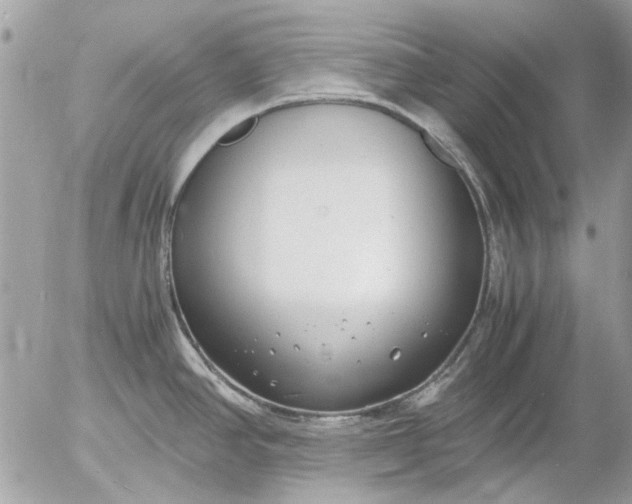 X0000055511390200508262129