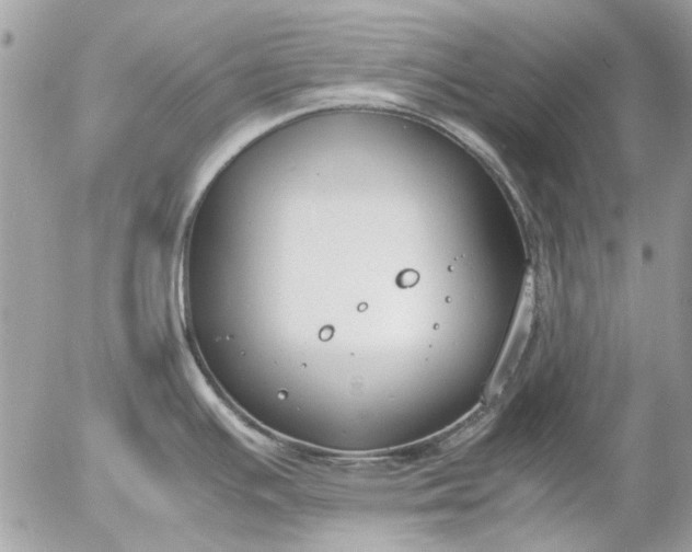 X0000055511391200508262129