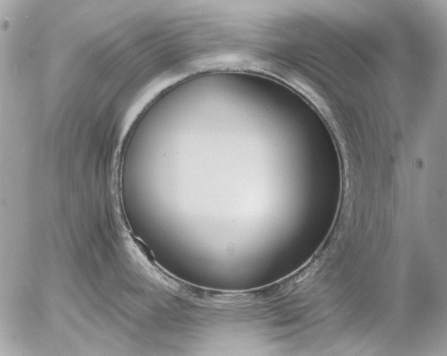 X0000055511392200508262129