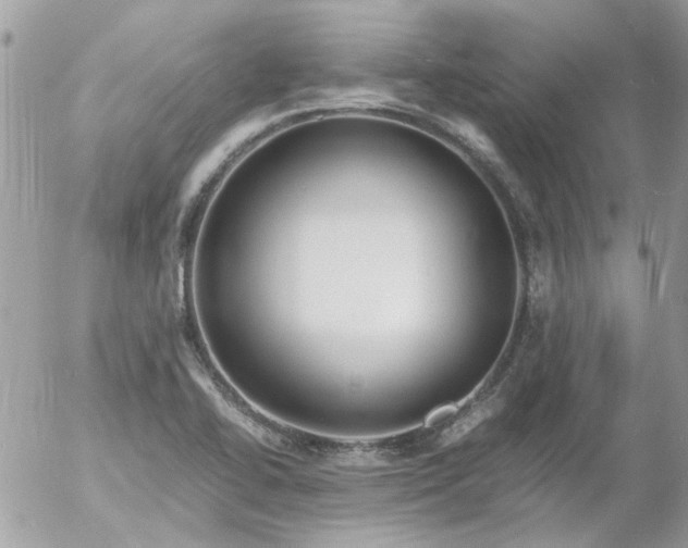 X0000055511414200508262129