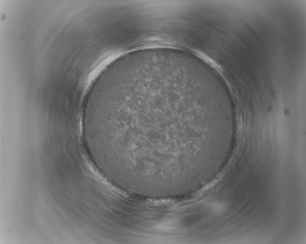 X0000055511415200508262129