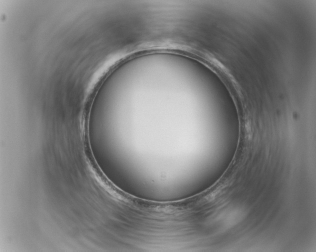 X0000055511416200508262129