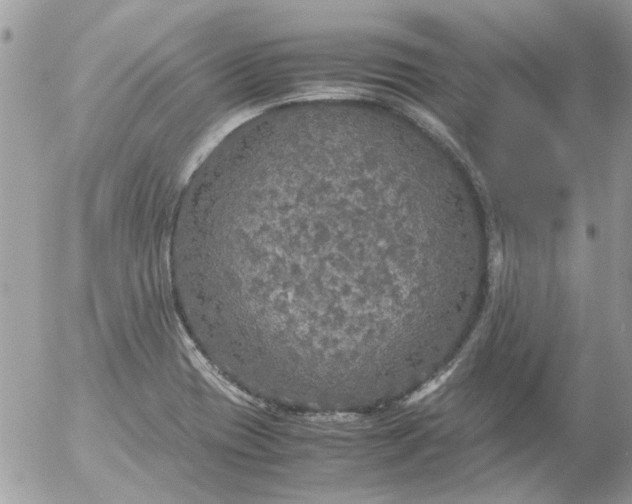 X0000055511417200508262129