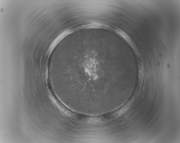 X0000055511418200508262129