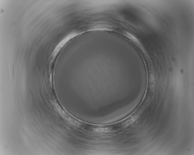 X0000055511419200508262129