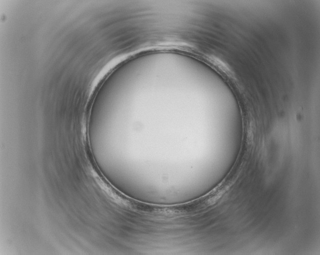 X0000055511420200508262129