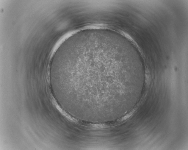 X0000055511421200508262129