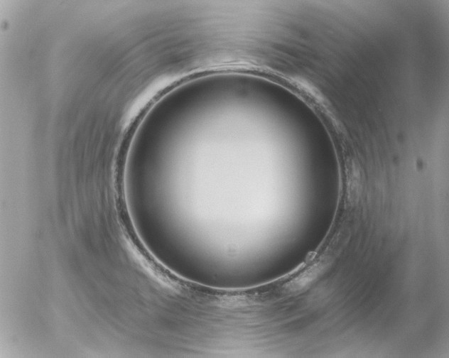 X0000055511422200508262129