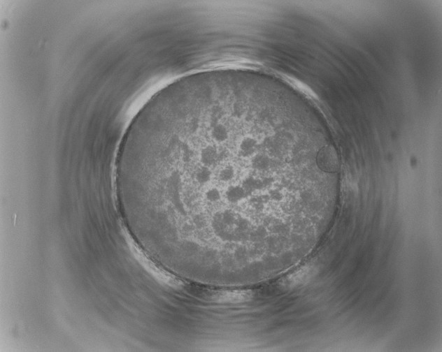 X0000055511423200508262129